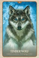 Карты Таро "The Secret Language of Animals" Blue Angel / Тайный язык животных — изображение 9